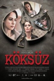 Köksüz 2013