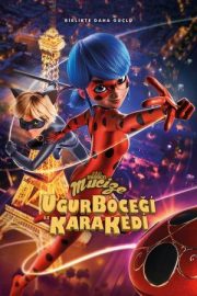 Mucize Uğur Böceği ile Kara Kedi