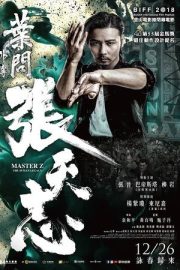 Usta Z Ip Man’in Mirası